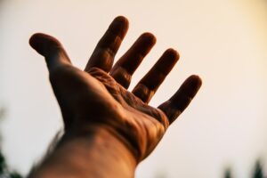 Como os Subsídios Aceleram a Inovação no Setor Agrícola